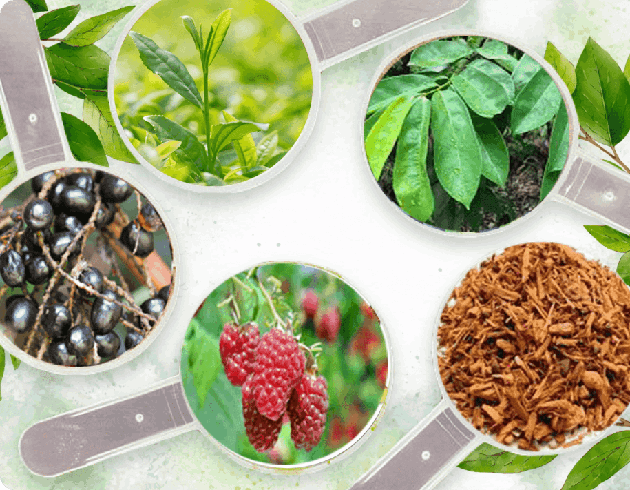Prosta Peak natural ingredients blend with plant extracts